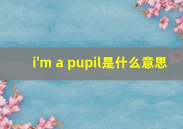 i'm a pupil是什么意思